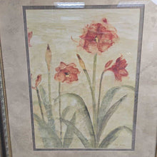 Load image into Gallery viewer, Gold Framed Cheri Blum Print - Row of Red Amaryllis (36x30)
