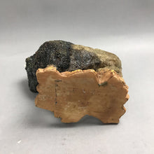 Load image into Gallery viewer, Vintage Resin Buffalo Bison Standing Figurine Statue (6.5"x7")
