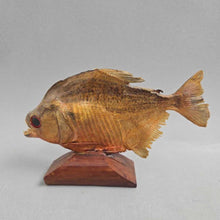 Load image into Gallery viewer, Brazilian Taxidermy/Dried Piranha - Manaus Souvenir (4.5x7x1.25)
