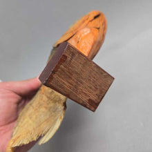 Load image into Gallery viewer, Brazilian Taxidermy/Dried Piranha (6.5x10.5x2)
