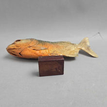 Load image into Gallery viewer, Brazilian Taxidermy/Dried Piranha (~7x10x2) (As-Is; Tailfin)
