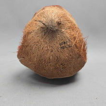 Load image into Gallery viewer, Coconut Gorilla Head (~8")
