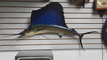 Load image into Gallery viewer, Blue Sailfish Wall Mount (~51") (As-Is)
