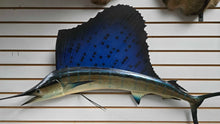 Load image into Gallery viewer, Blue Sailfish Wall Mount (~51") (As-Is)
