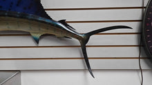 Load image into Gallery viewer, Blue Sailfish Wall Mount (~51") (As-Is)
