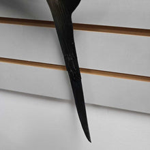 Load image into Gallery viewer, Blue Sailfish Wall Mount (~51") (As-Is)
