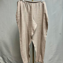 Load image into Gallery viewer, Eileen Fisher Stone Linen Flat Front Pants (XL)

