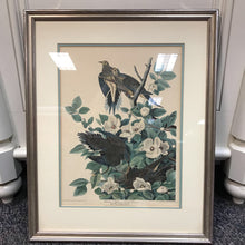 Load image into Gallery viewer, Framed Have one to sell? Sell one like this Sell something else Share John James Audubon "Carolina Pigeon or Turtle Dove" Print (26x21)

