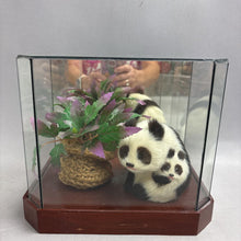 Load image into Gallery viewer, Faux Panda Bears in Glass Case with Plant (8x9x6)
