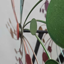 Load image into Gallery viewer, Garden Pinwheel / Wind Decor (As-Is) (64")
