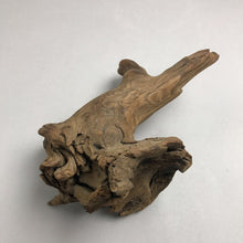 Load image into Gallery viewer, Driftwood (11")
