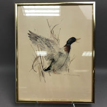 Load image into Gallery viewer, Framed Watercolor Wild Duck Mallard Print Signed (14x11)
