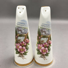 Load image into Gallery viewer, Vintage Pink Flower Tall Sandford China Salt &amp; Pepper Shakers Made in England (6")
