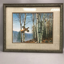 Load image into Gallery viewer, Framed David A. Maass Ruffed Grouse Birds Art Print Landscape Signed (18x22)
