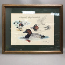 Load image into Gallery viewer, Bob Berry Chesapeake Bay Cavasback Framed Print (18x22)
