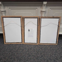 Load image into Gallery viewer, Framed Jim Fallier, AWS Triptych Watercolor Print - Welcome Stranger (~25x49)
