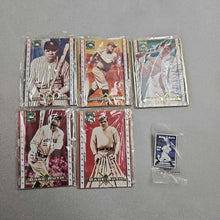 Load image into Gallery viewer, Metallic Impressions Babe Ruth - 5 Metal Collectors Cards (2x5x3.75)

