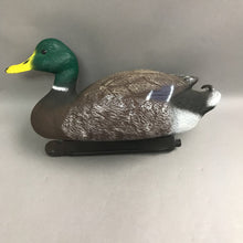 Load image into Gallery viewer, Mallard Drake Decoy (16")
