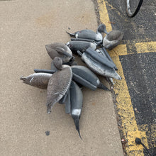 Load image into Gallery viewer, Sport Plast Italy Group of 11 Duck Decoys
