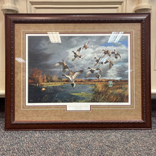 Load image into Gallery viewer, Framed Fruits of Your Labor Mallards &amp; Pintails by David Maass (28x35)
