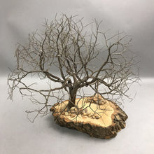 Load image into Gallery viewer, Wire Tree Figurine Sculpture, Wood Base, Brown Natural Finish with Stones (12")
