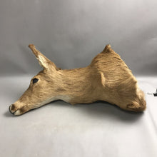 Load image into Gallery viewer, Taxidermy Doe Deer (~19x10x24)
