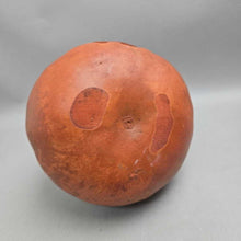 Load image into Gallery viewer, Dried Hard-Shell Jack-o'-Lantern Gourd (~10x7)
