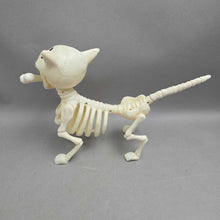 Load image into Gallery viewer, Crazy Bonez Skeleton Dog (9x14x4)
