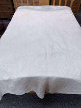 Load image into Gallery viewer, Vintage Handmade Dresden Plate Quilt (54x82)
