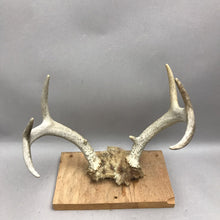 Load image into Gallery viewer, Antlers on Wood Cabin Decor (6x10)
