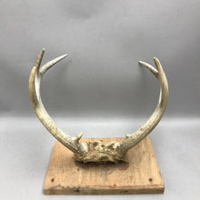 Load image into Gallery viewer, Antlers on Wood Cabin Decor (6x10)
