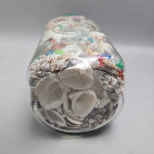 Load image into Gallery viewer, Seashells &amp; Beads Collection (9.5x4x4)
