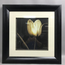 Load image into Gallery viewer, Framed Still Art Tulip Print (21x21)
