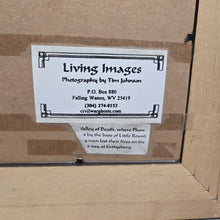 Load image into Gallery viewer, Framed Tim Johnson Photographic Art - Valley of Death, Gettysburg, PA (18x22)
