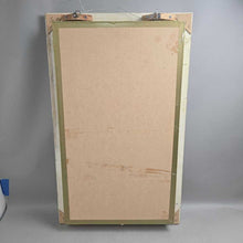 Load image into Gallery viewer, Mounted Butterfly/Moth Specimen Display (~31x19)
