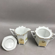 Load image into Gallery viewer, RS Prussia Floral Cream Pitcher &amp; Sugar Bowl Set (4.5")
