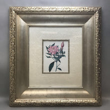 Load image into Gallery viewer, Framed Floral Print Silk Matte Heavy Wood Frame (28&quot;Lx26.50&quot;W)
