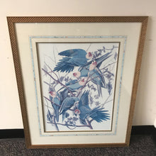 Load image into Gallery viewer, Framed Audubon Print Carolina Parrots Gold Frame (34&quot;x28&quot;)
