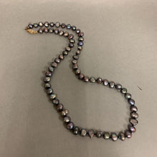 Load image into Gallery viewer, Gray Freshwater Pearl Necklace w/ Gold Filled Clasp (19&quot;)
